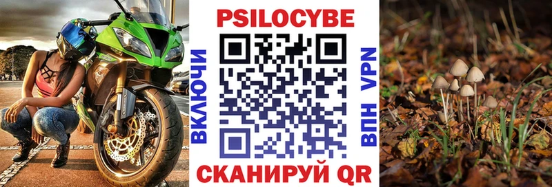 Купить где  Сосновоборск  Псилоцибиновые грибы Psilocybine cubensis 